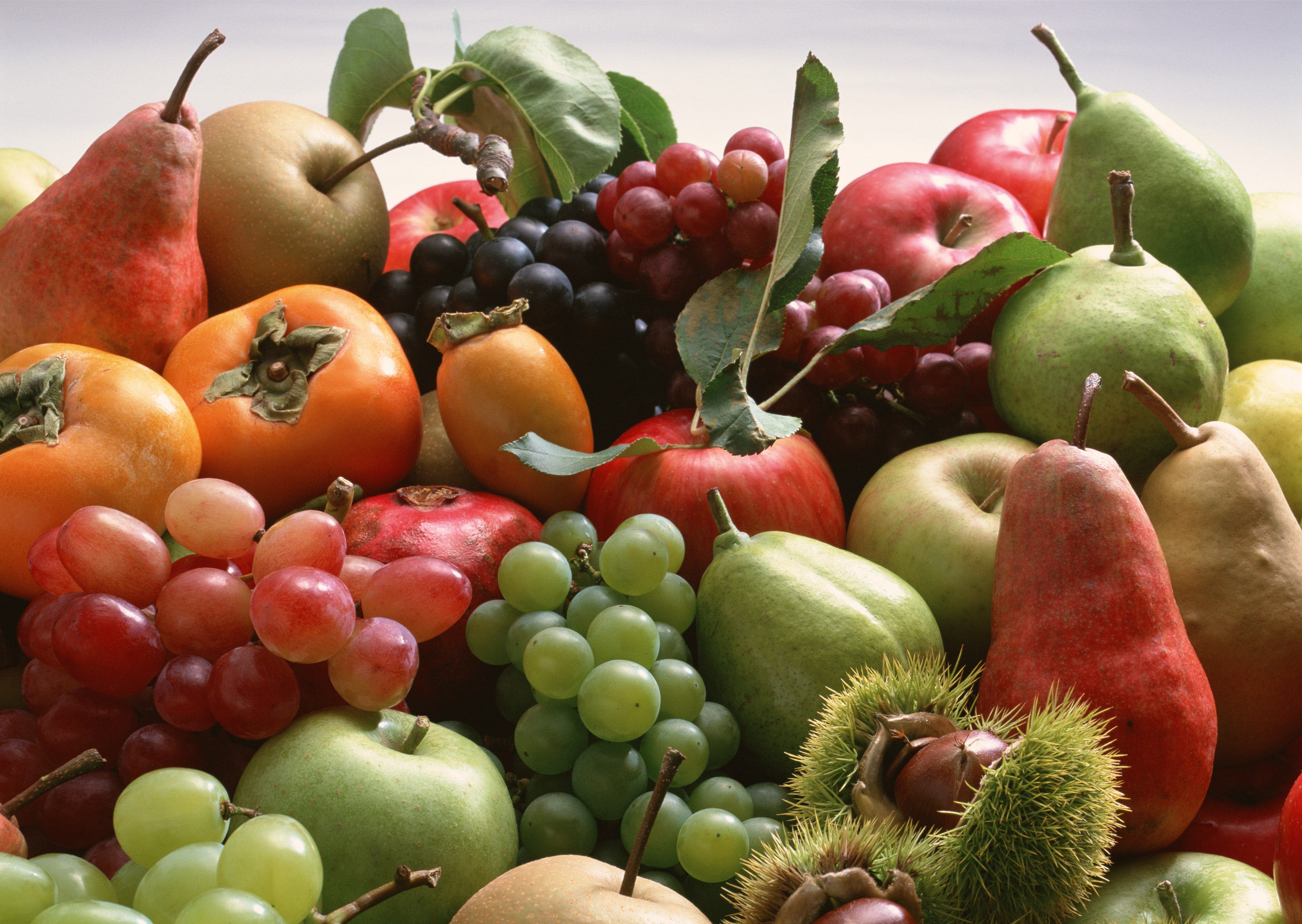 Яблоко фрукт или овощ. Фрукты. Овощи, фрукты, ягоды. Урожай фруктов. Осенние овощи и фрукты.